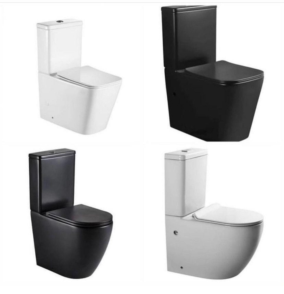 Wall-Hung Water Closet