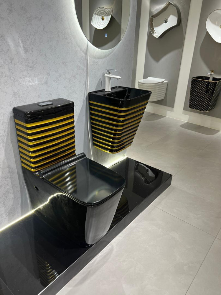 Back-to-Wall Water Closet