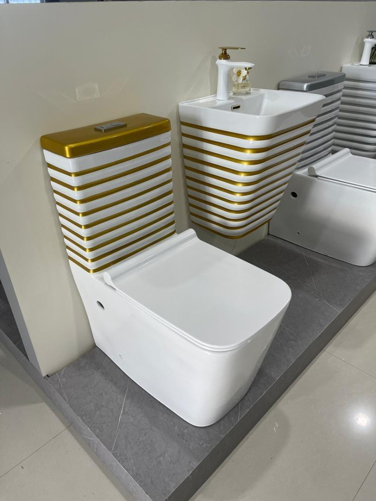 Back-to-Wall Water Closet