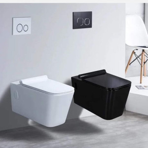 Rimless Water Closet