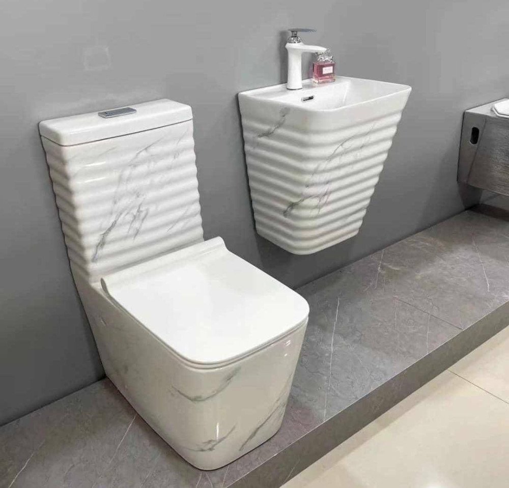 Smart Water Closet