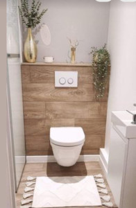 Compact Water Closet