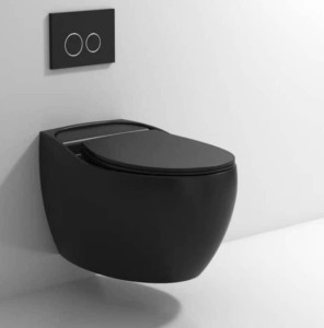 Luxury Bidet Water Closet