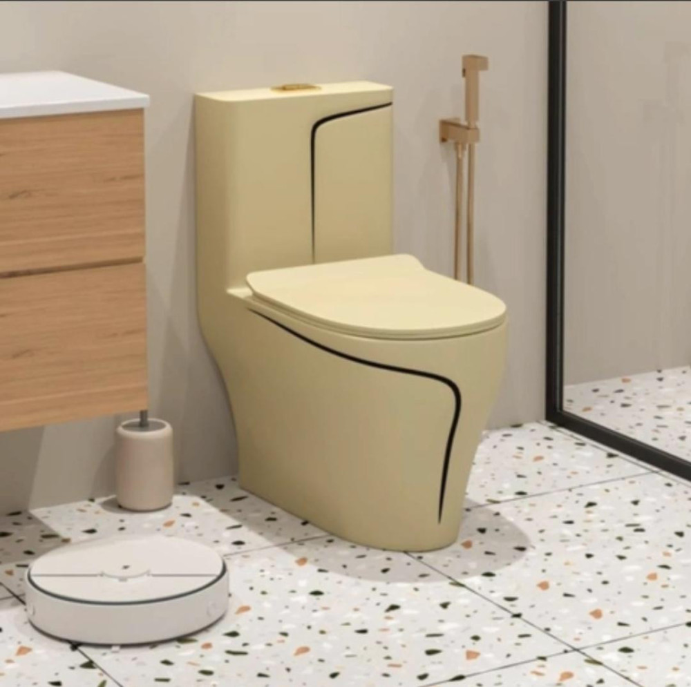 Luxury Bidet Water Closet