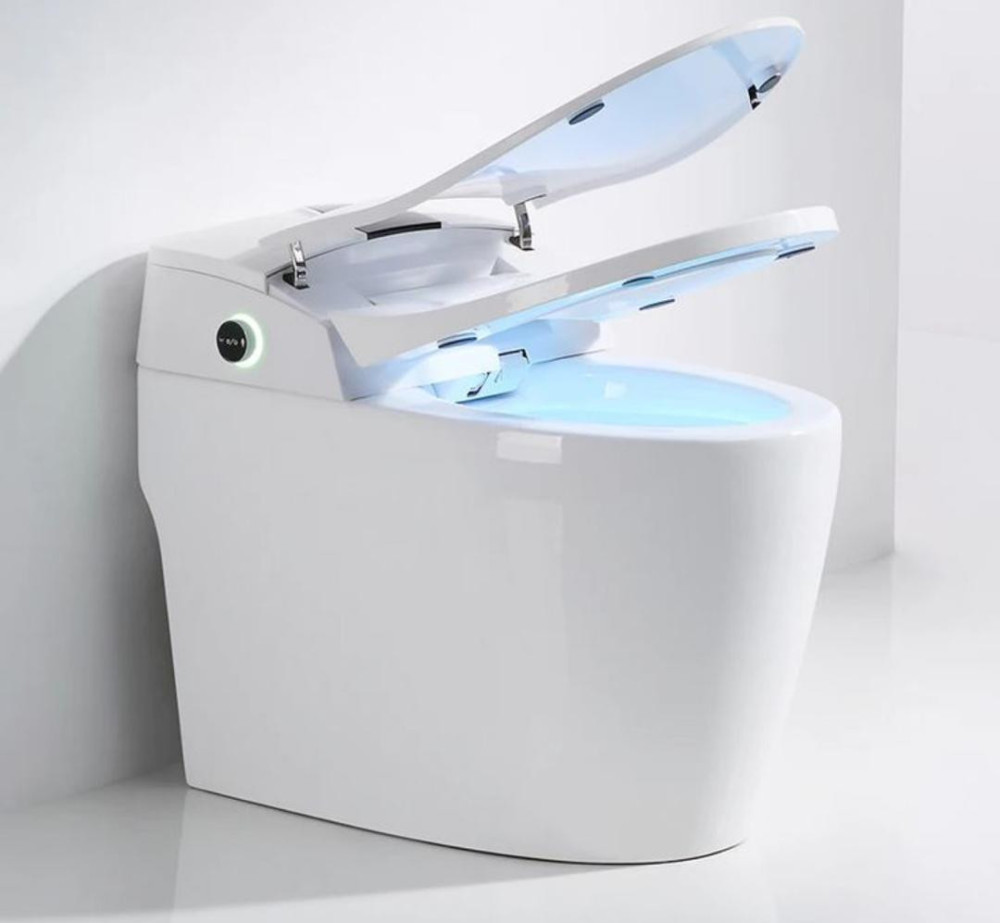 Smart Bidet WC