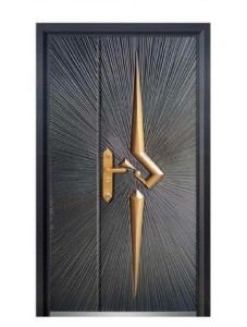 Modern Security Door