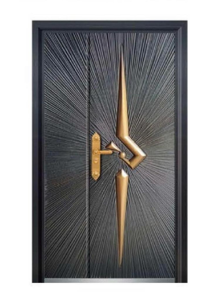 Modern Security Door