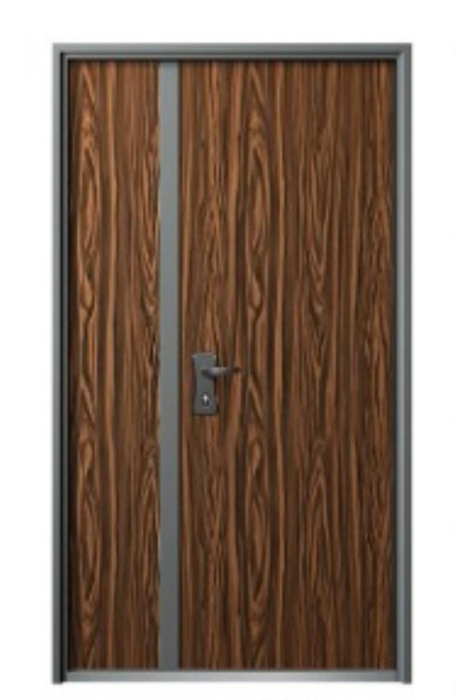 Israeli Door