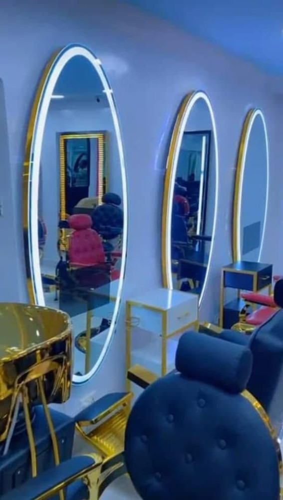 Oval Led Salon Mirror with a gold frame