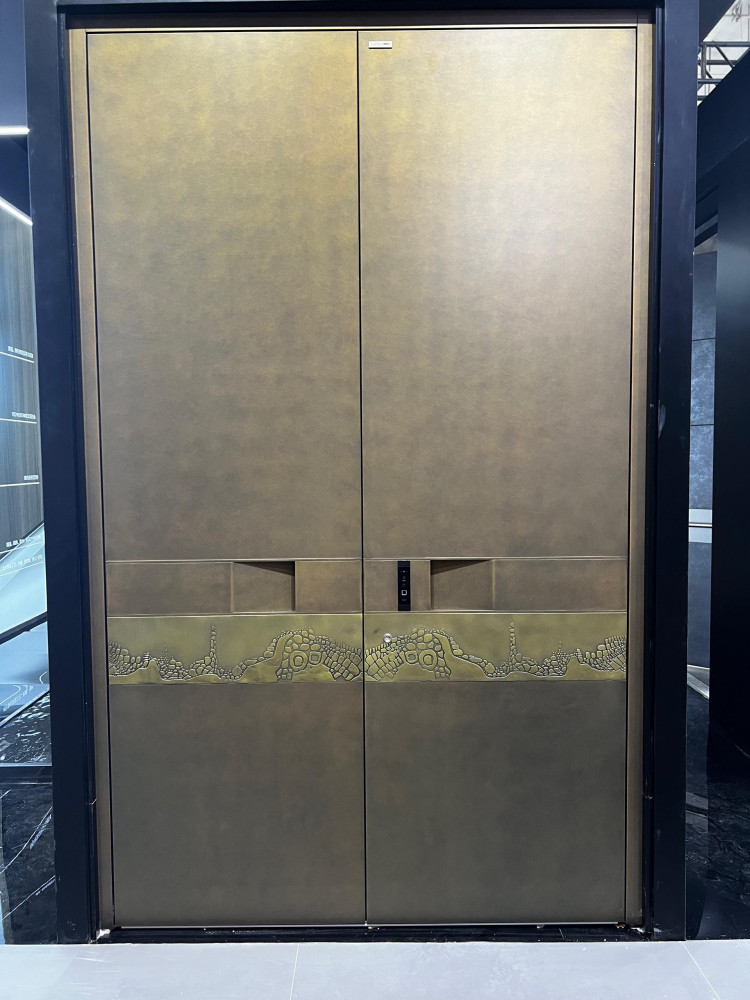 Modern Brass-toned double front door