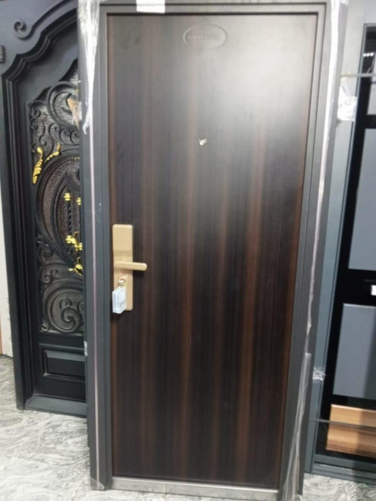 Security Enttrance Door