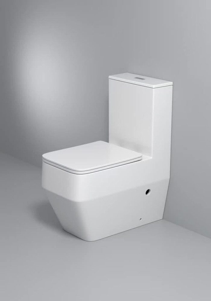 White Luxury Water closet