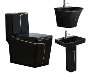 Black and Gold Luxury toilet 
