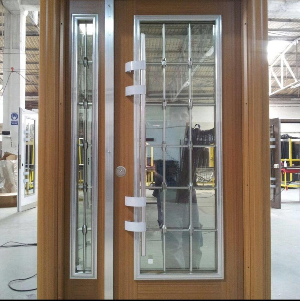 Double Panel Luxury Glass Door