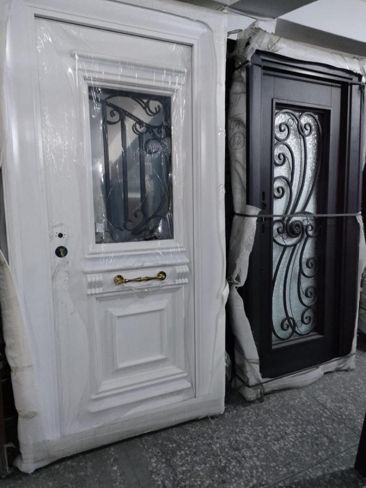 Double Panel Luxury Glass Door