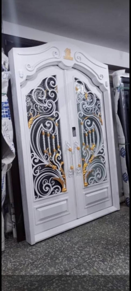 Double Panel Luxury Glass Door