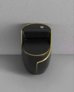 Matte Black wall-hung water closet 