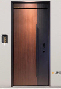 Modern Pivot Entry Door with a brushed metal finish and a long vertical handle