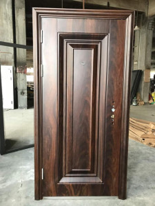 Steel Enahnced Security door