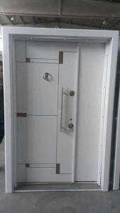 Coated Case Embossed Model Steel Door 