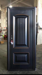 Black matee Security Door
