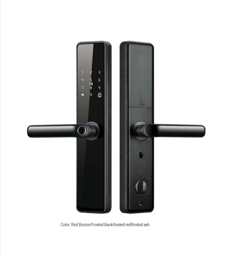 Smart Lock Door with Multiple Entry Methods