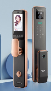 Smart Lock Door with Multiple unlocking options
