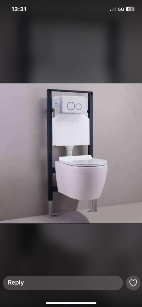 wall-hung toilet