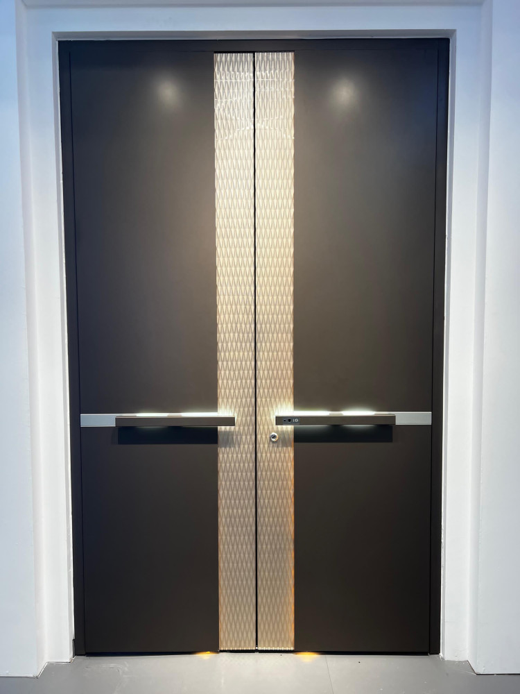 Modern Double-panel Pivot door with a dark finish and a central decorative metal
