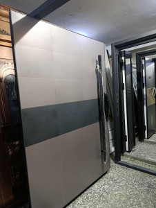 Modern Large Pivot Door