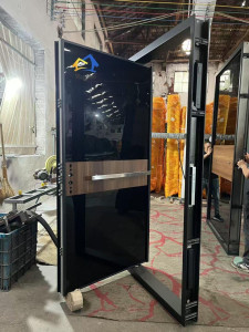 Modern Pivot Door
