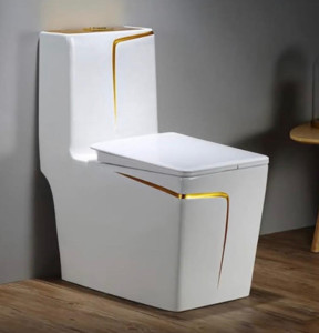 Sleek Modern One-piece dual-fluch toilet 