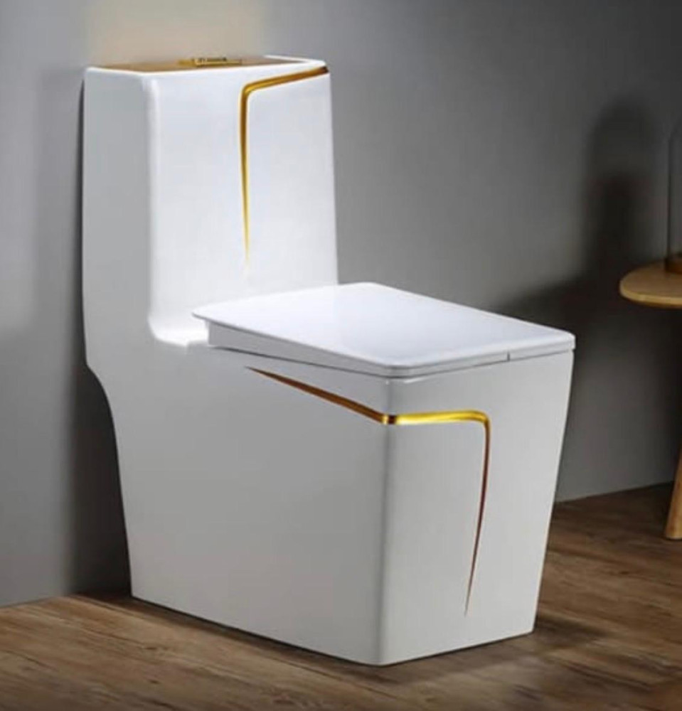 Sleek Modern One-piece dual-fluch toilet 