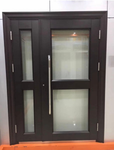 Modern Double Exterior door with a dark frame and large glass panels