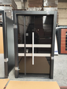 PlatinumGuard Security Door