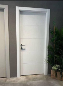 Axis Security Door