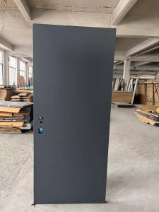 Turenware Classic DS68 steel door